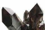 Dark Smoky Quartz Crystal Cluster - Brazil #273022-1